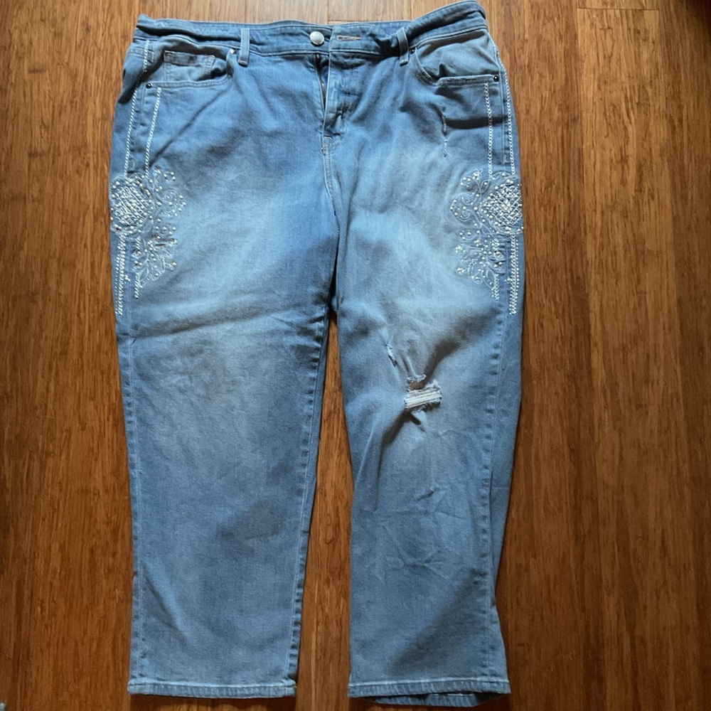 Plus 18 lane Bryant jeans. Has embellishments on both legs